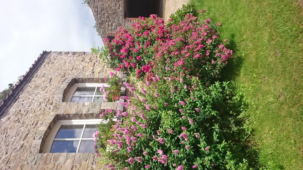 B&B Aux Anges Profondeville Exterior photo