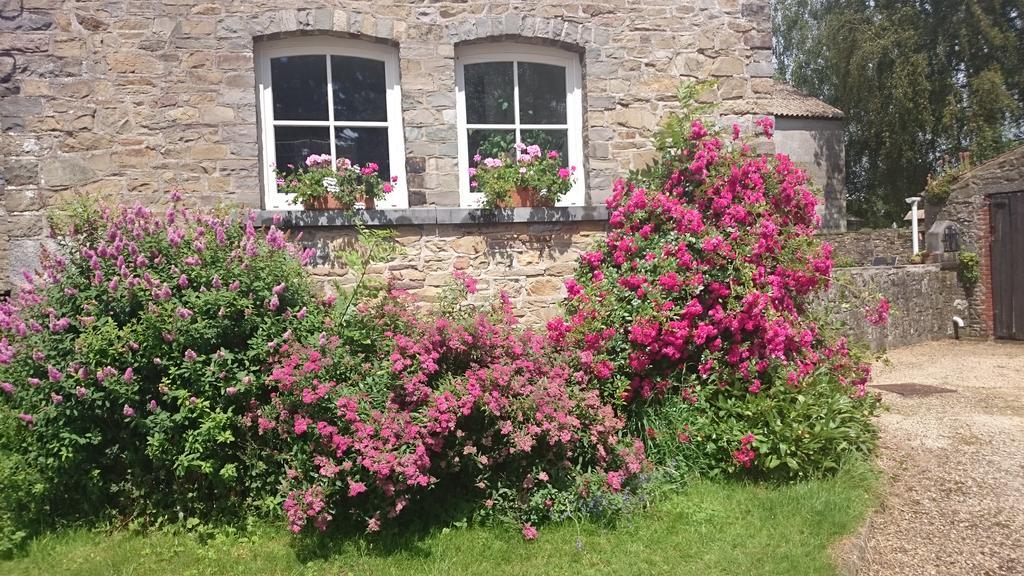 B&B Aux Anges Profondeville Exterior photo